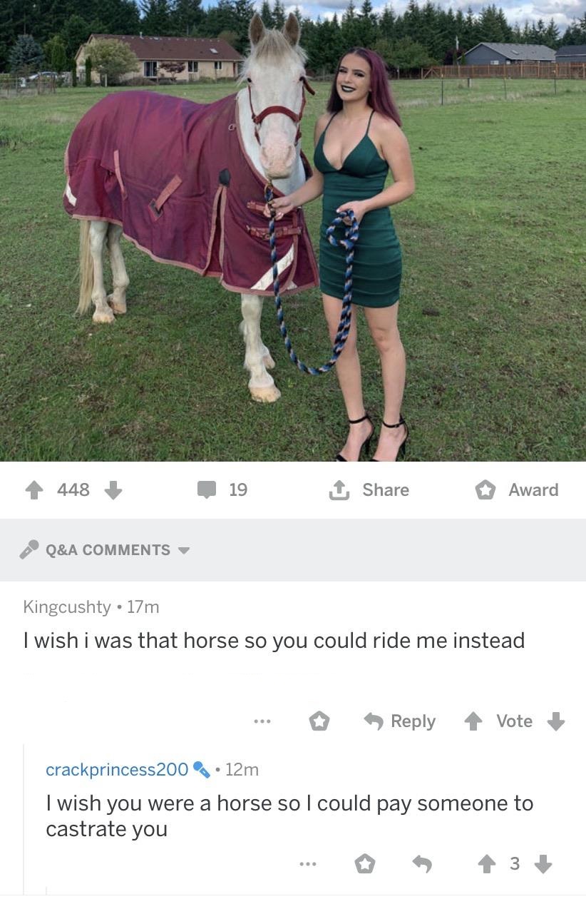 grass - 4 448 19 Award Q&A Kingcushty 17m I wish i was that horse so you could ride me instead ... Vote crackprincess 200 12m I wish you were a horse so I could pay someone to castrate you