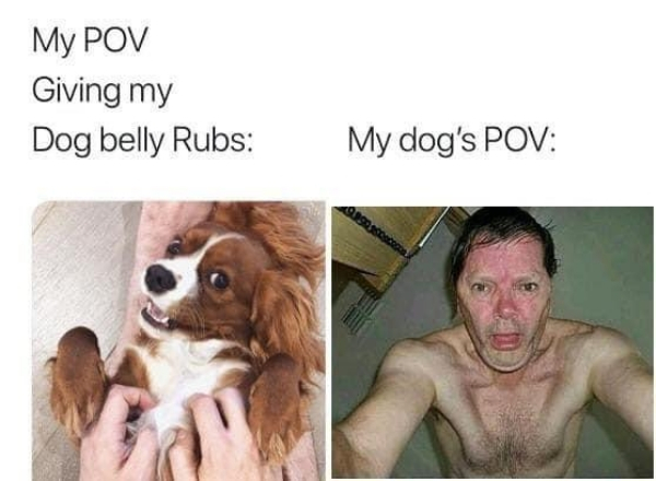 my dogs pov my pov - My Pov Giving my Dog belly Rubs My dog's Pov