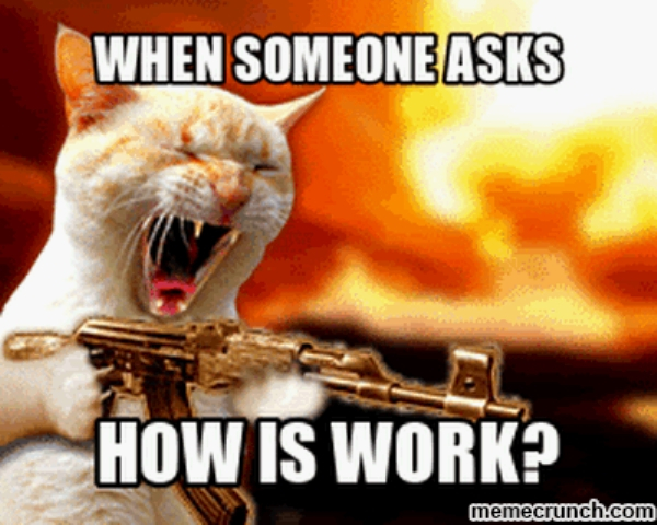 funny cat - When Someone Asks How Is Work? memecrunch.com