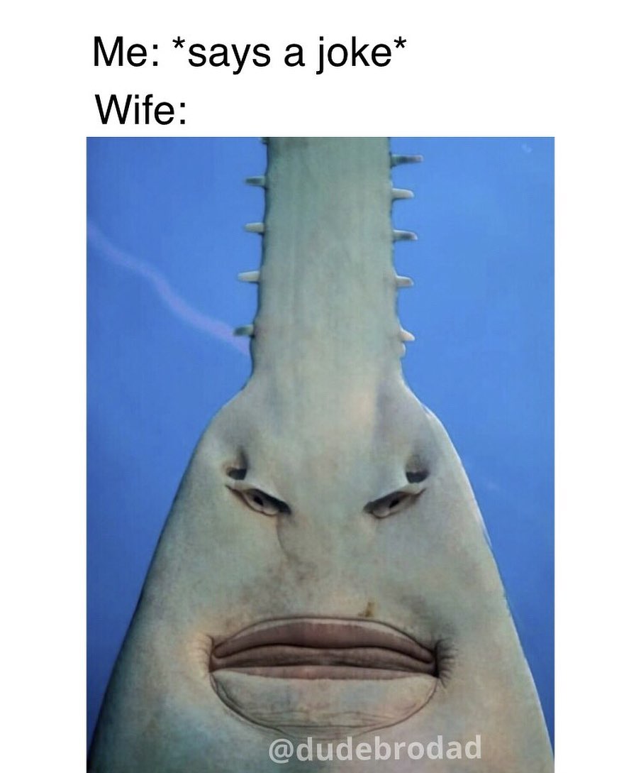 sawfish face - Me says a joke Wife