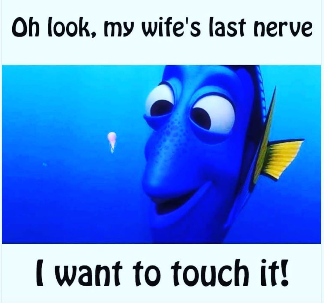 fish - Oh look, my wife's last nerve I want to touch it!
