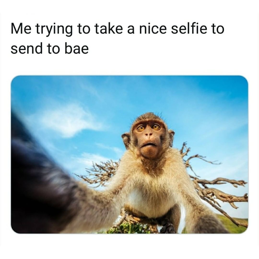 photo caption - Me trying to take a nice selfie to send to bae