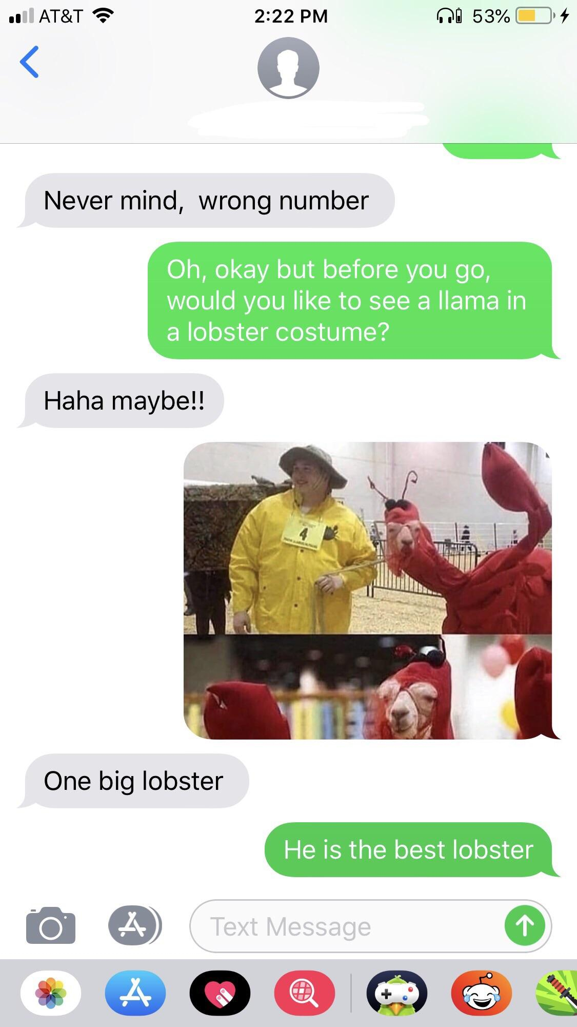 sarah from the conservative party texts - At&T 04 53% Never mind, wrong number Oh, okay but before you go, would you to see a llama in a lobster costume? Haha maybe!! One big lobster He is the best lobster Text Message