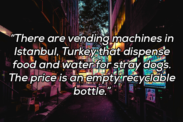 graphic design - There are vending machines in Istanbul, Turkey that dispense food and water for stray dogs. The price is an empty recyclable bottle.""