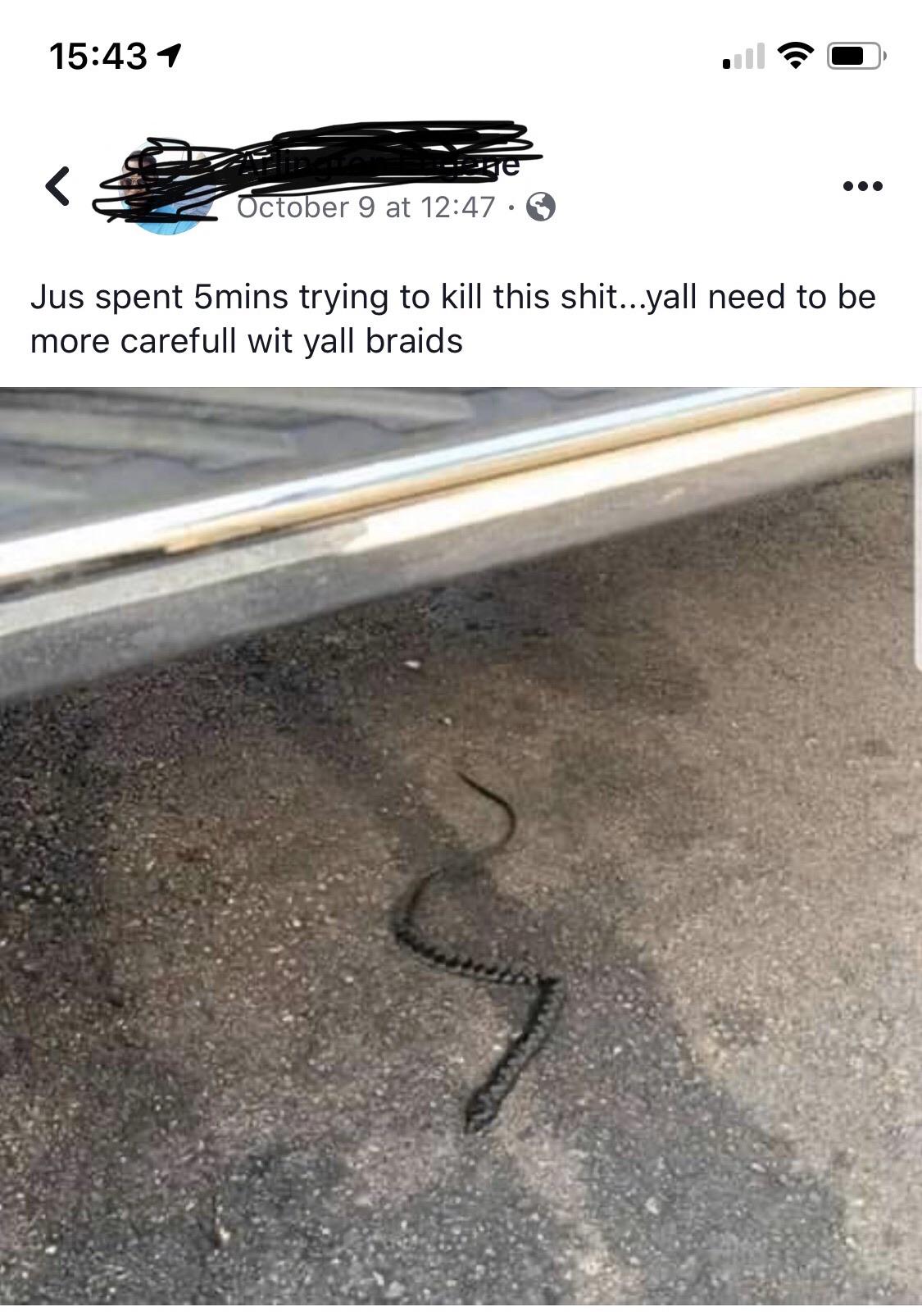 at Jus spent 5mins trying to kill this shit...yall need to be more carefull wit yall braids