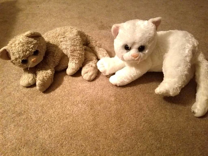 before and after stuffed toy