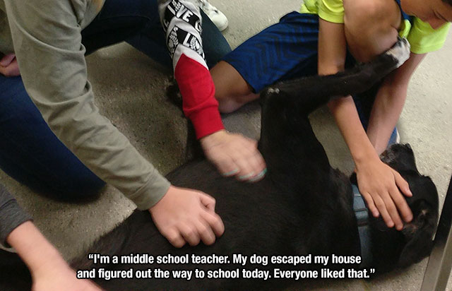 hand - "I'm a middle school teacher. My dog escaped my house and figured out the way to school today. Everyone d that."