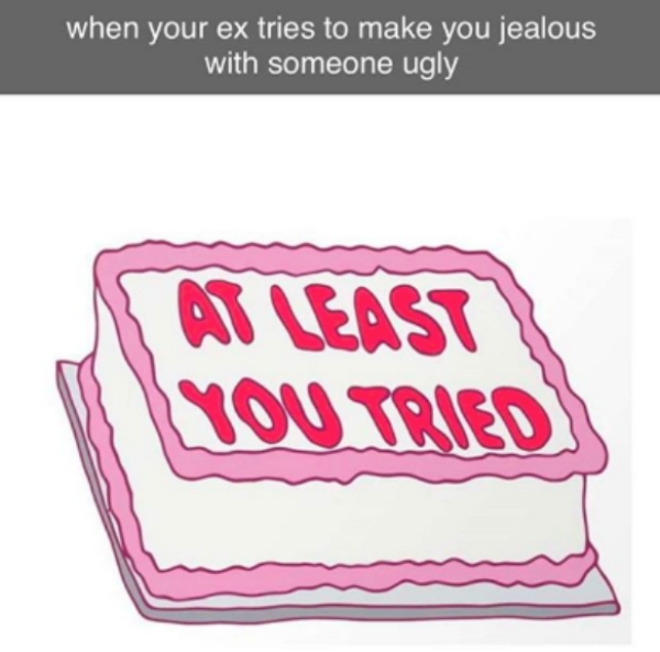 design - when your ex tries to make you jealous with someone ugly At Least You Tried