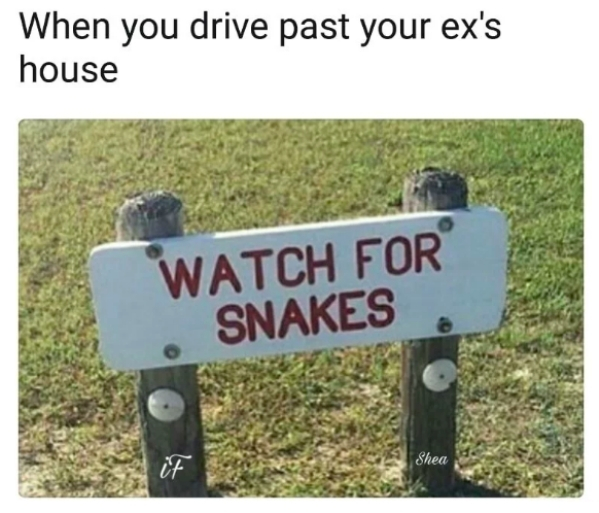 watch for snakes meme - When you drive past your ex's house Watch For Snakes Shea e
