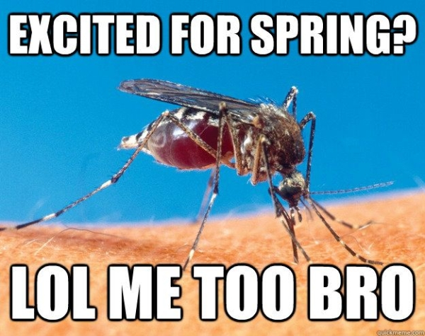 funny spring memes - Excited For Spring? Lol Me Too Bro quickmeme.com