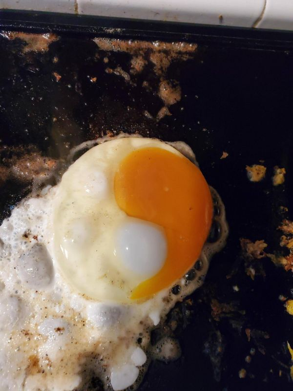 fried egg