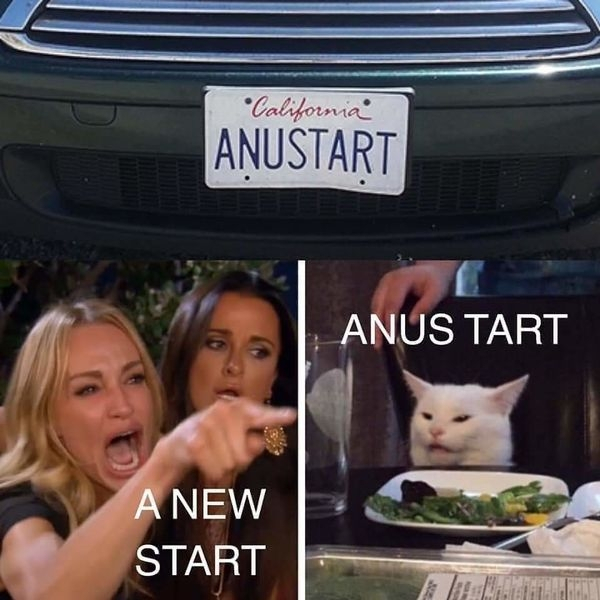 woman yelling at cat meme license plate - California Anustart Anus Tart A New Start