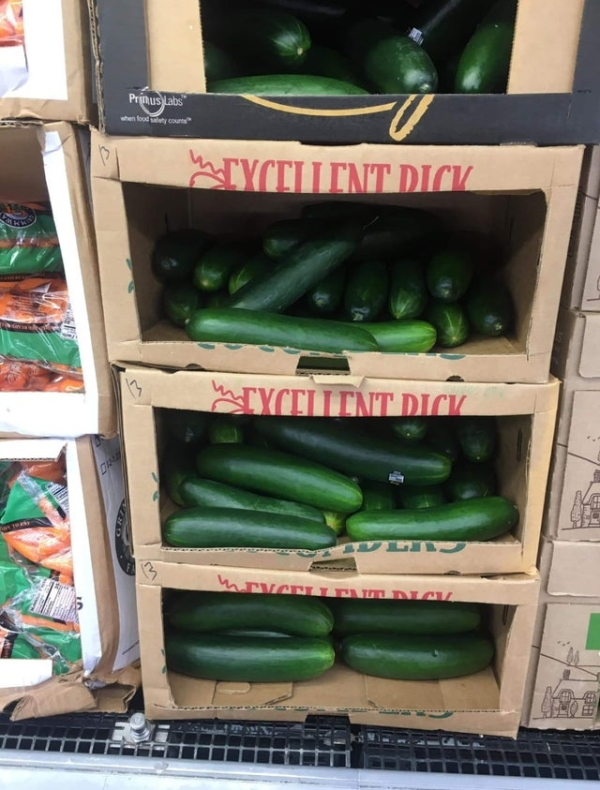 cucumber - Primus Labs when food you Mtycellent Dick It Dict Mnatumia Tit