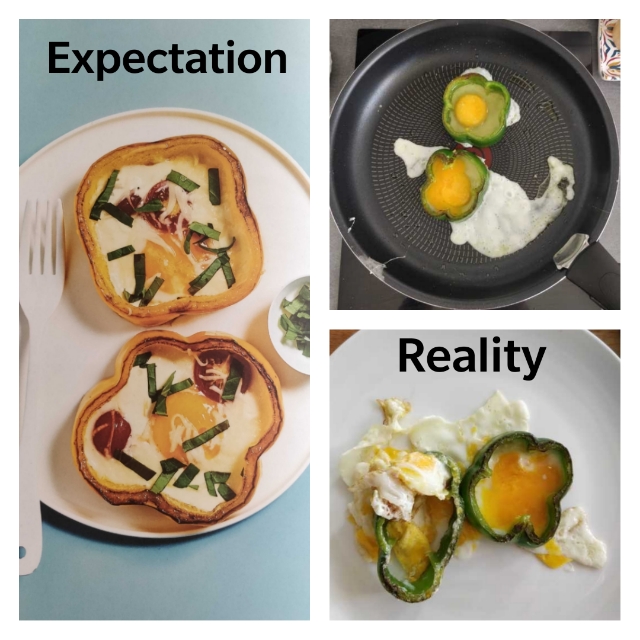 dish - Expectation Reality