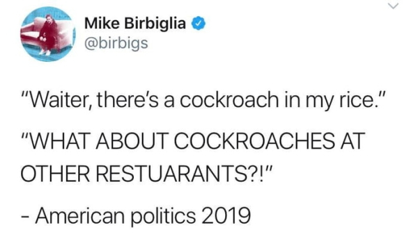 indestructible walls kool aid man - Mike Birbiglia "Waiter, there's a cockroach in my rice." "What About Cockroaches At Other Restuarants?!" American politics 2019