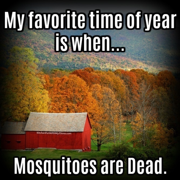 nature - My favorite time of year is when... Niccenfumwi My Sons.com Mosquitoes are Dead.