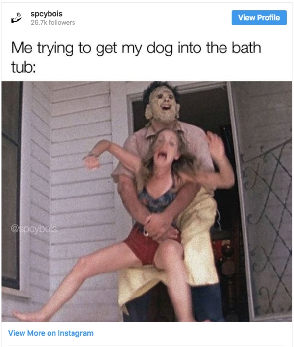 photo caption - spcybois ers View Profile Me trying to get my dog into the bath tub View More on Instagram