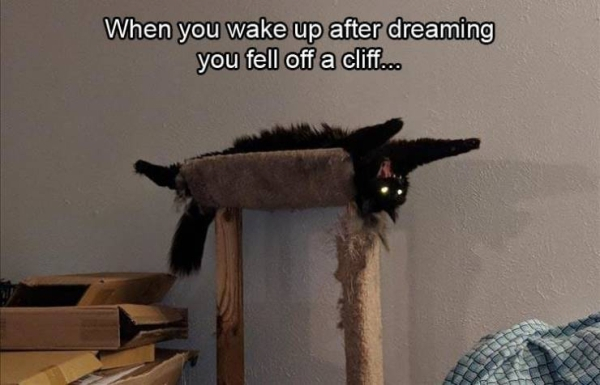 fluffy's exorcism - When you wake up after dreaming you fell off a cliff...