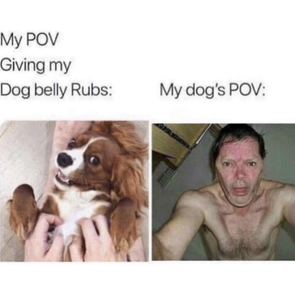 my pov giving my dog belly rubs - My Pov Giving my Dog belly Rubs My dog's Pov