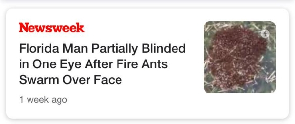 Newsweek Florida Man Partially Blinded in One Eye After Fire Ants Swarm Over Face 1 week ago