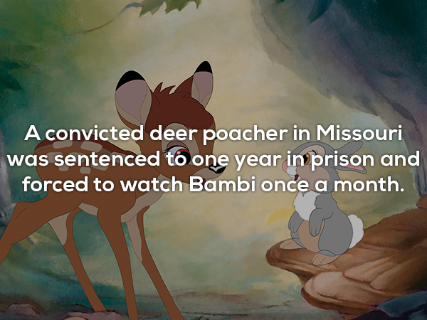 A convicted deer poacher in Missouri was sentenced to one year in prison and forced to watch Bambi once a month.