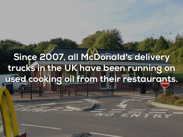 car - Since 2007, all McDonald's delivery trucks in the Uk have been running on used cooking oil from their restaurants.