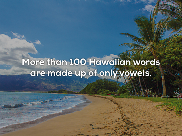 More than 100 Hawaiian words are made up of only vowels.