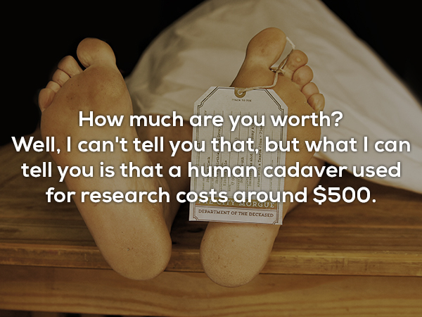 How much are you worth? Well, I can't tell you that, but what I can tell you is that a human cadaver used for research costs around $500. Department Of The Deceased