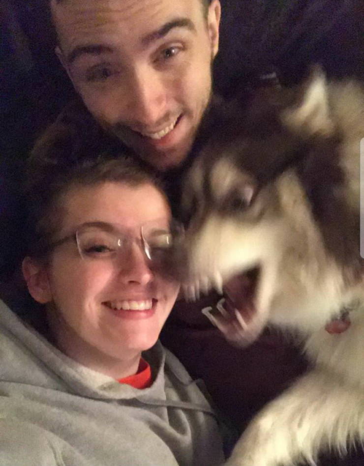 perfect timing dog owners be like meme