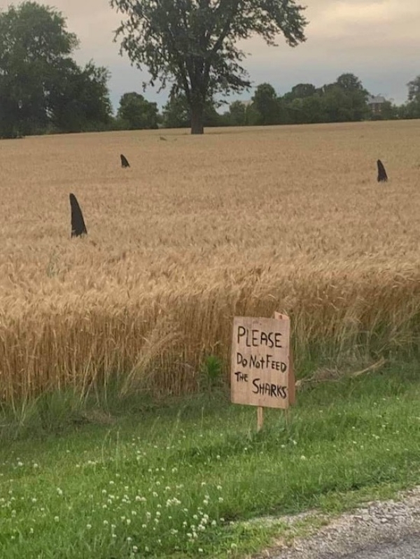 humor farming memes - Please Do Not Feed The Sharks