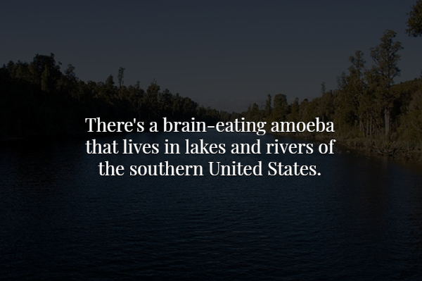 nature - There's a braineating amoeba that lives in lakes and rivers of the southern United States.