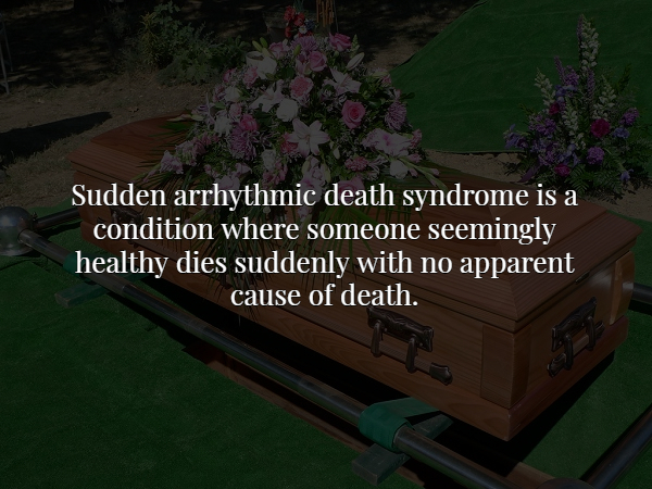 wood - Sudden arrhythmic death syndrome is a condition where someone seemingly healthy dies suddenly with no apparent cause of death.