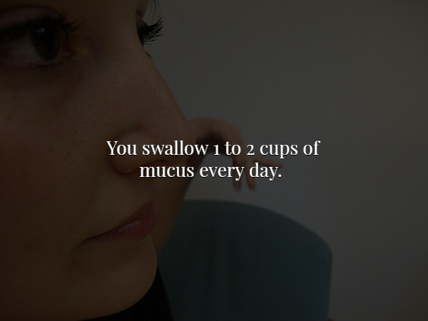 lip - You swallow 1 to 2 cups of mucus every day.