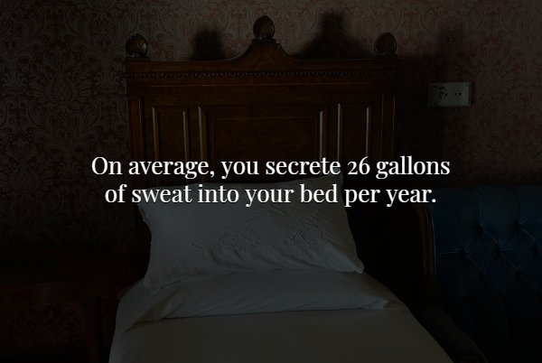 light - On average, you secrete 26 gallons of sweat into your bed per year.