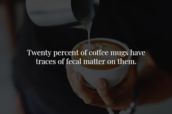 Coffee - Twenty percent of coffee mugs have traces of fecal matter on them.