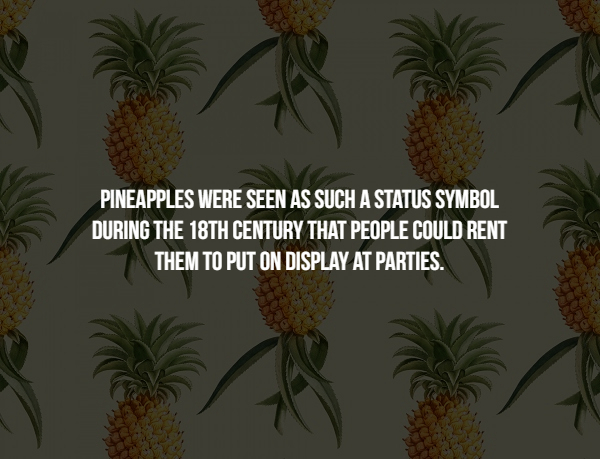 pineapple - Pineapples Were Seen As Such A Status Symbol During The 18TH Century That People Could Rent Them To Put On Display At Parties.