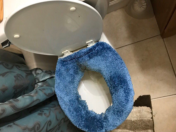 carpet toilet seat reddit