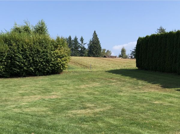 “The USA-Canada border (marked by the pole) in my cousin’s backyard.”