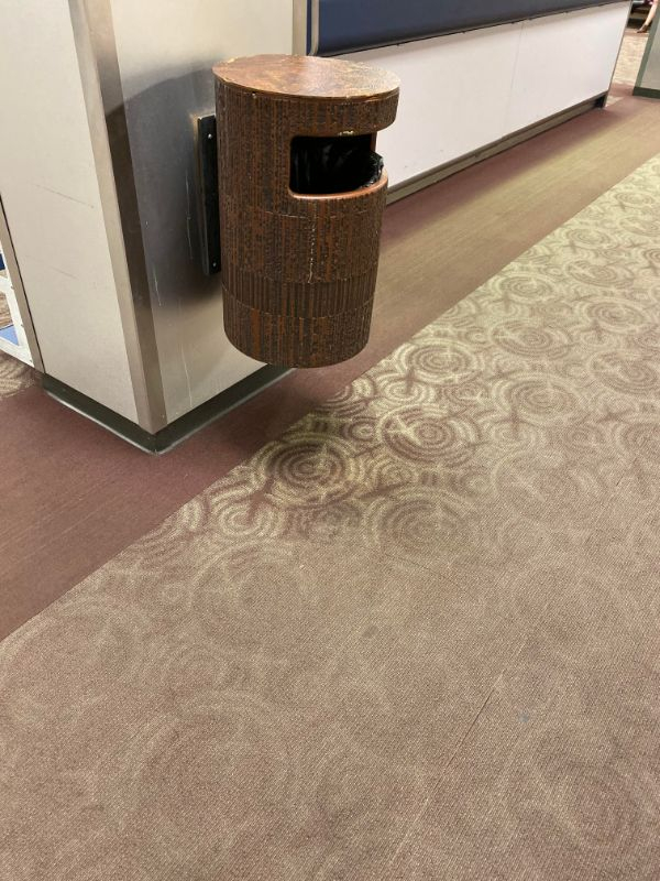 “The way this carpet is so worn around the trash can but not under.”