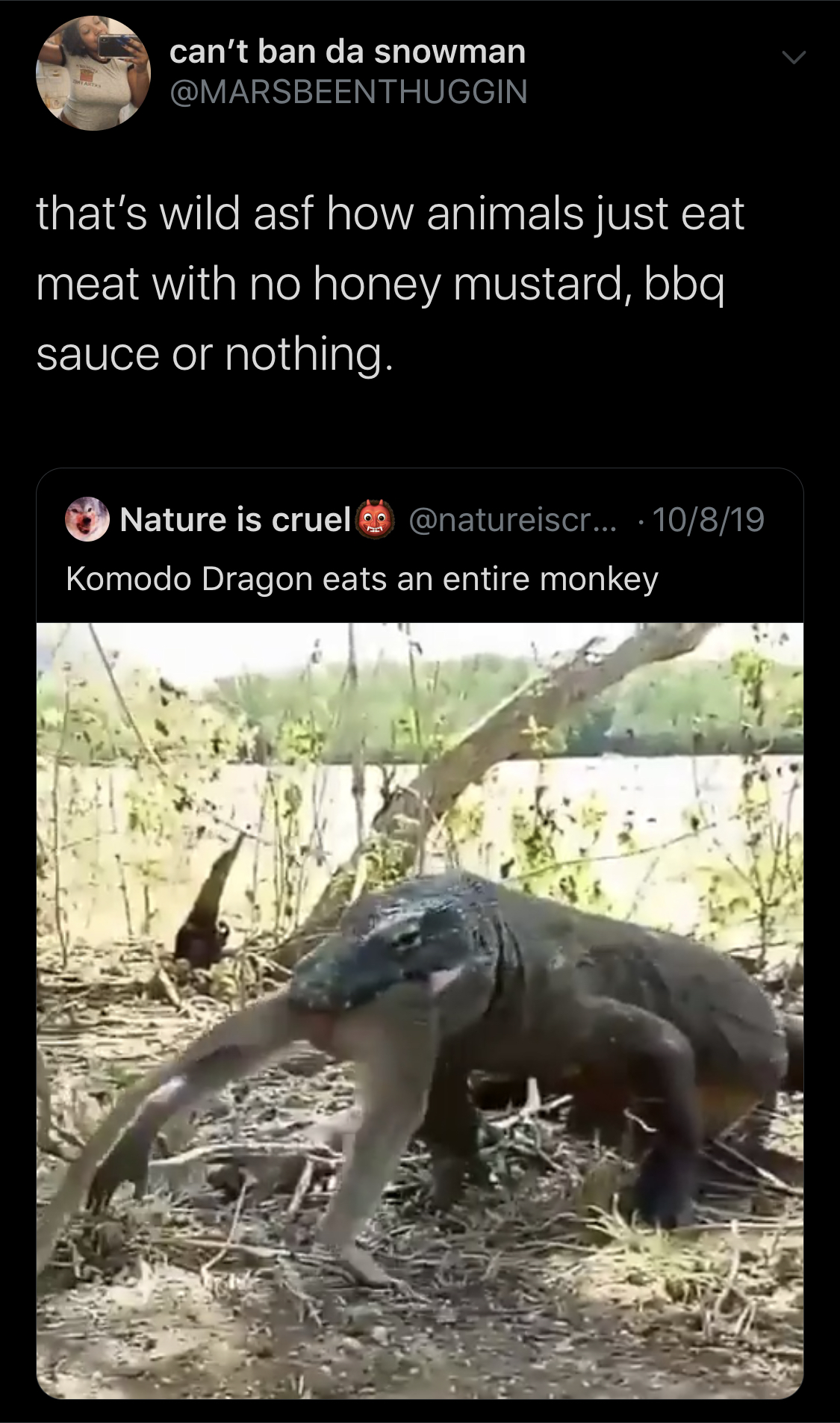 dinosaur - can't ban da snowman that's wild asf how animals just eat meat with no honey mustard, bbq sauce or nothing. Nature is cruel ... 10819 Komodo Dragon eats an entire monkey