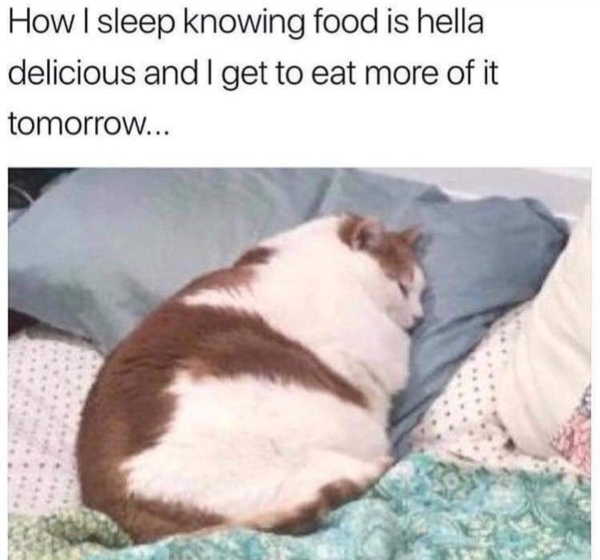food meme - How I sleep knowing food is hella delicious and I get to eat more of it tomorrow...