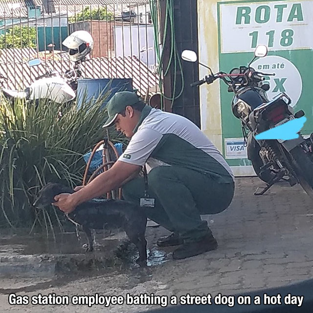 car - Hasil Clinic Rota 118 em ate Visay Gas station employee bathing a street dog on a hot day