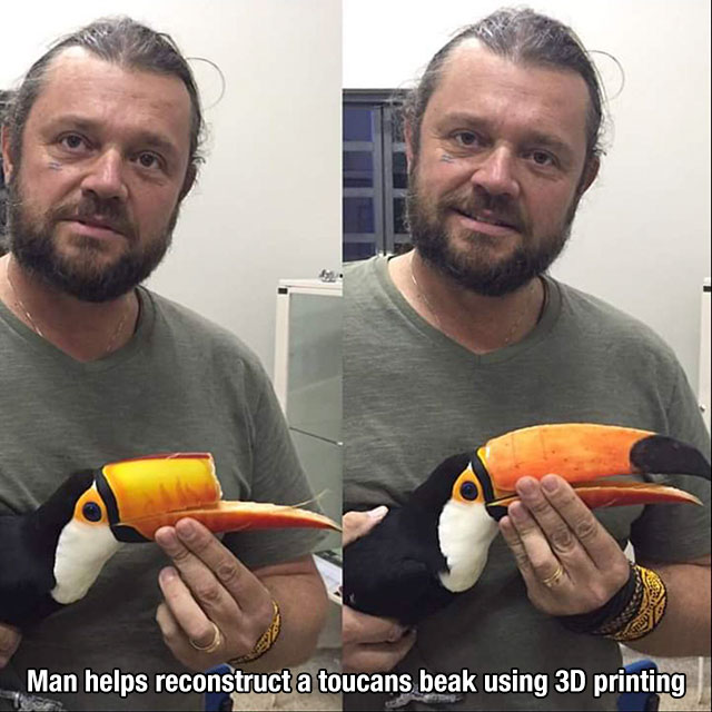 zazu toucan - Man helps reconstruct a toucans beak using 3D printing