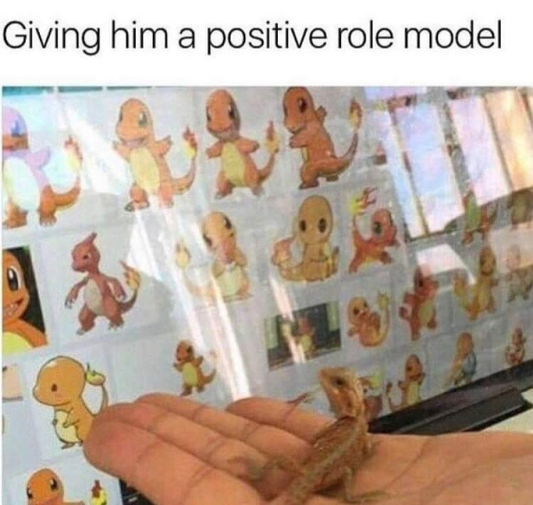 pokemon charmeleon - Giving him a positive role model