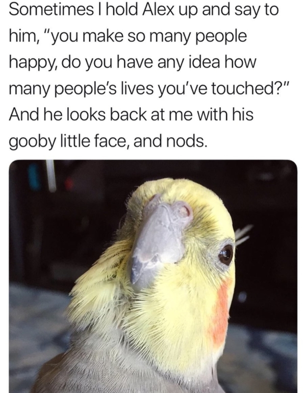 beak - Sometimes I hold Alex up and say to him, "you make so many people happy, do you have any idea how many people's lives you've touched?" And he looks back at me with his gooby little face, and nods.