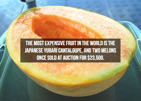 The Most Expensive Fruit In The World Is The Japanese Yubari Cantaloupe, And Two Melons Once Sold At Auction For $23.500.