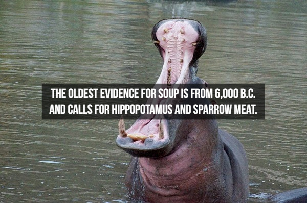 hippo mouth open - The Oldest Evidence For Soup Is From 6,000 B.C. And Calls For Hippopotamus And Sparrow Meat.