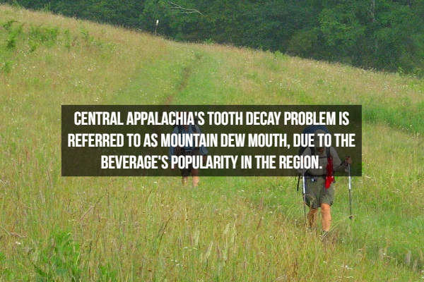 grassland - Central Appalachia'S Tooth Decay Problem Is Referred To As Mountain Dew Mouth, Due To The Beverage'S Popularity In The Region.