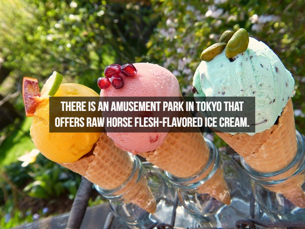 There Is An Amusement Park In Tokyo That Offers Raw Horse FleshFlavored Ice Cream.