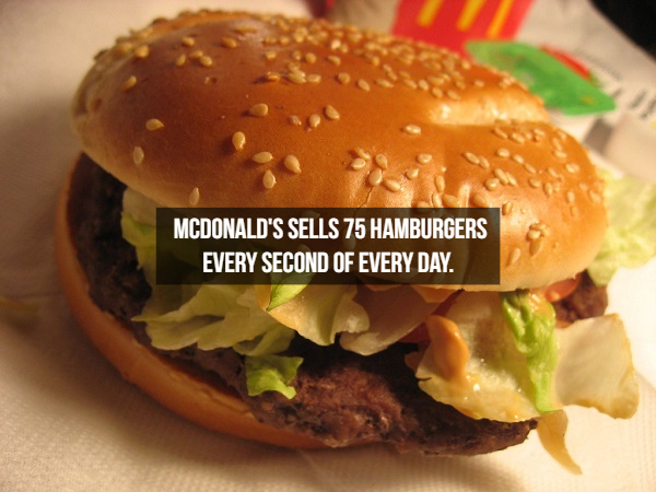 facts about burgers - Mcdonald'S Sells 75 Hamburgers Every Second Of Every Day.